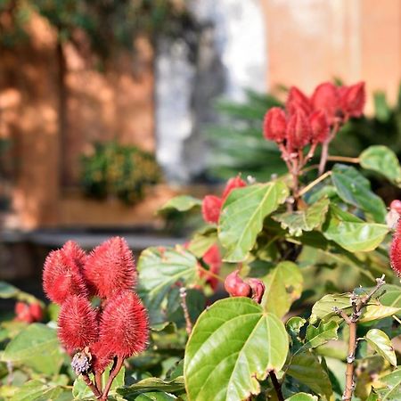 Quinta Cielo - Hotel Boutique Y Restaurante มาลินาลโค ภายนอก รูปภาพ
