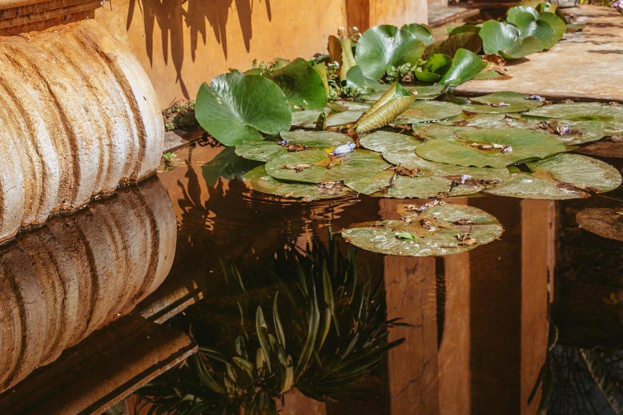 Quinta Cielo - Hotel Boutique Y Restaurante มาลินาลโค ภายนอก รูปภาพ