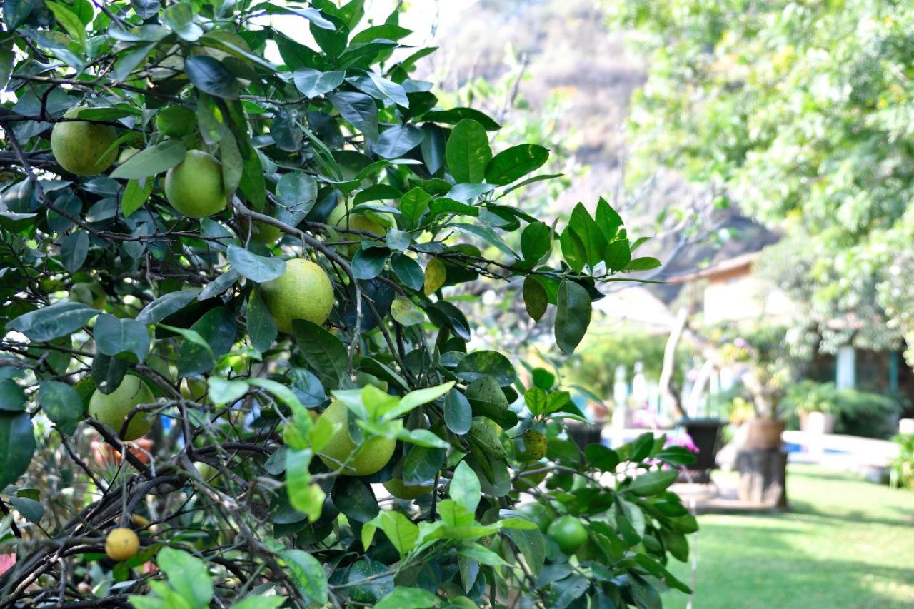 Quinta Cielo - Hotel Boutique Y Restaurante มาลินาลโค ภายนอก รูปภาพ