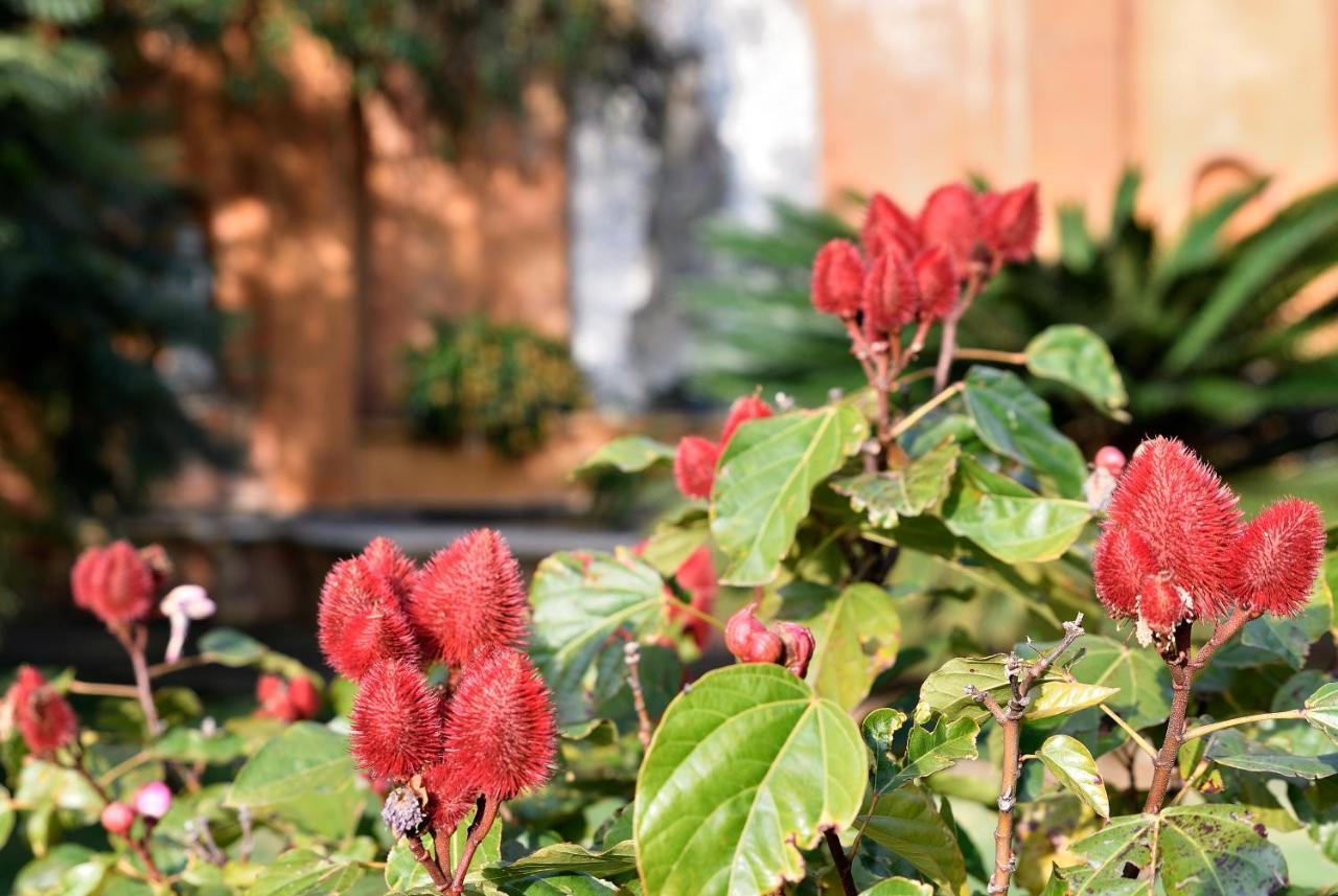 Quinta Cielo - Hotel Boutique Y Restaurante มาลินาลโค ภายนอก รูปภาพ